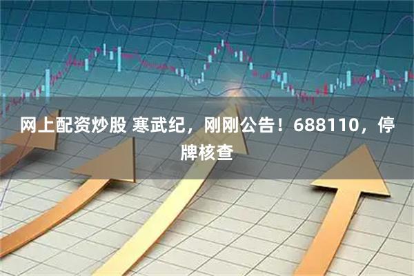 网上配资炒股 寒武纪，刚刚公告！688110，停牌核查
